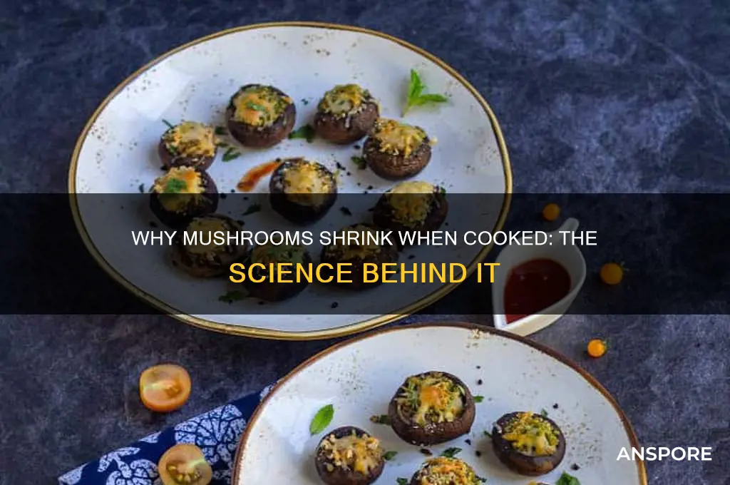 why do mushrooms shrink when cooked