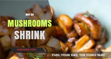 Mushroom Mystery: Why Do They Shrink?
