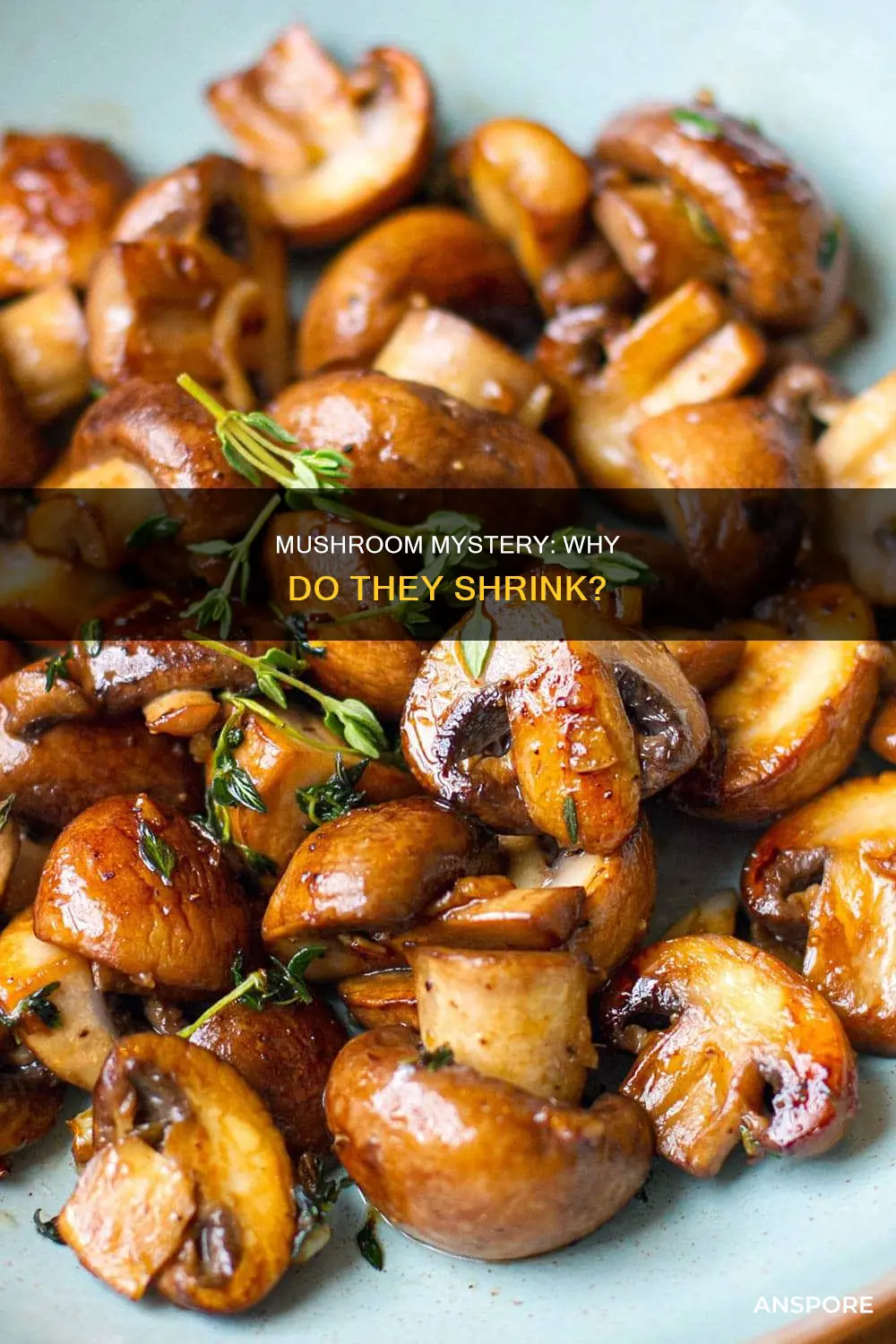 why do mushrooms shrink