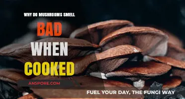 Unraveling the Mystery: Why Cooked Mushrooms Emit Unpleasant Odors