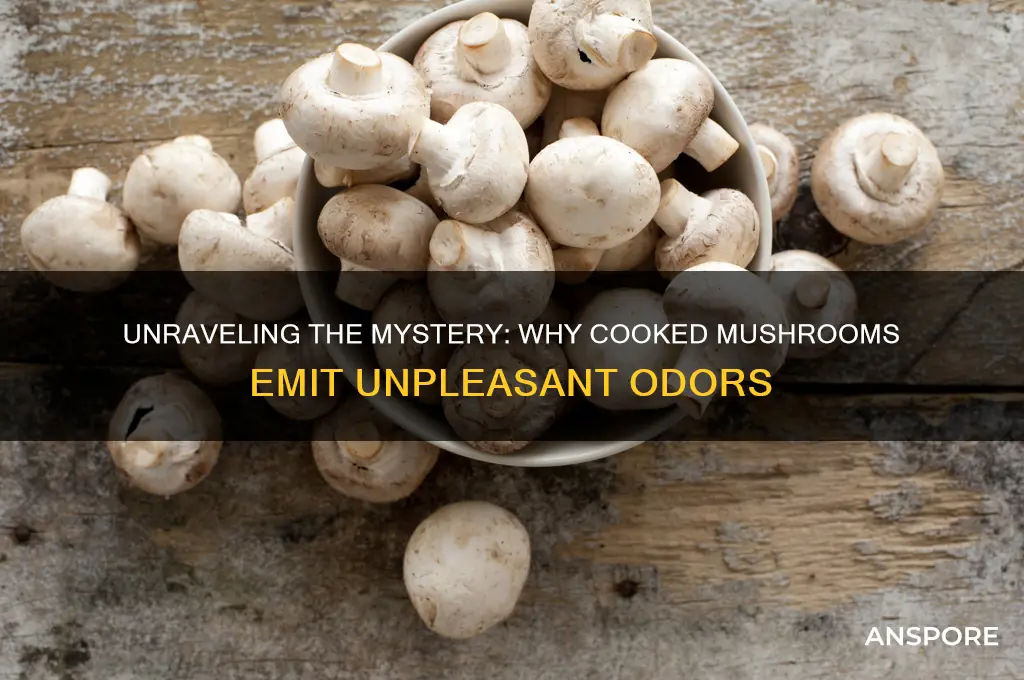 why do mushrooms smell bad when cooked