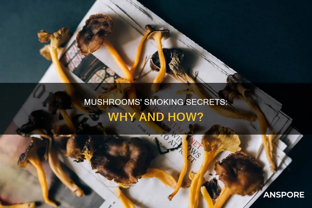 why do mushrooms smoke