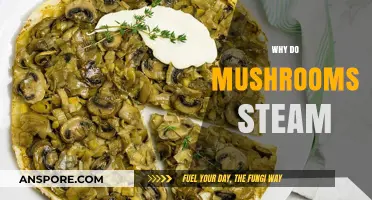 Mushrooms Steam: Unlocking the Secret Behind the Cloud