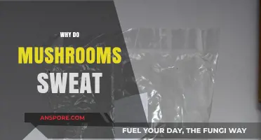 Mushrooms Perspire: Unveiling the Science Behind Their Sweat