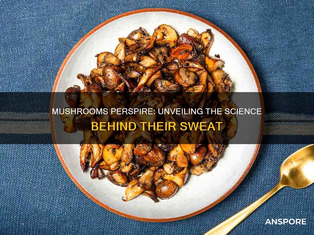 why do mushrooms sweat