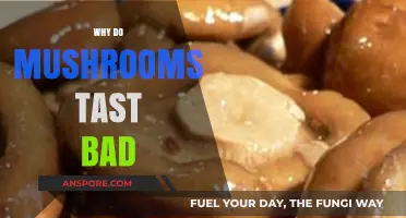 Why Mushrooms Taste Bad: Unraveling the Bitter Truth Behind Fungi