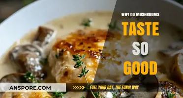 The Savory Secrets: Why Mushrooms Taste So Irresistibly Good