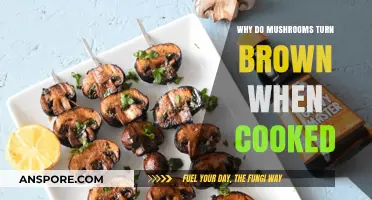 Why Mushrooms Turn Brown When Cooked: The Science Behind It