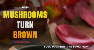 Mushrooms Browning: The Science Behind the Color Change