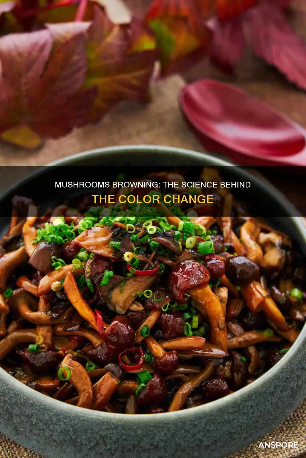 why do mushrooms turn brown