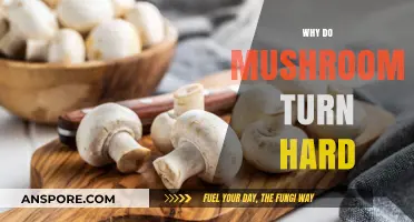 Mushrooms Harden: The Science Behind It