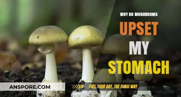 Mushrooms and Stomach Discomfort: Unraveling the Digestive Mystery