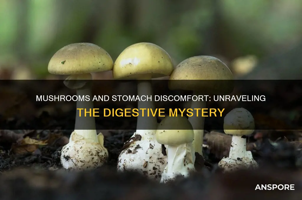 why do mushrooms upset my stomach