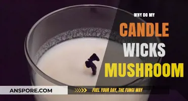Why Do My Candle Wicks Mushroom? Causes and Solutions Explained