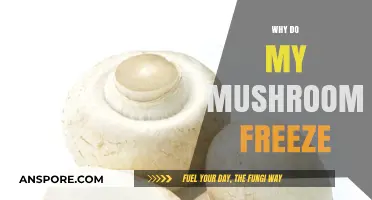 Mushroom Freezing: Why Does It Happen?