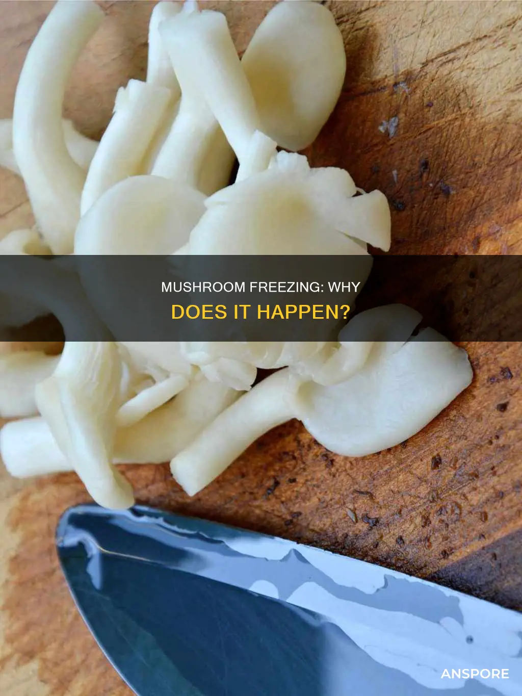 why do my mushrooms freeze