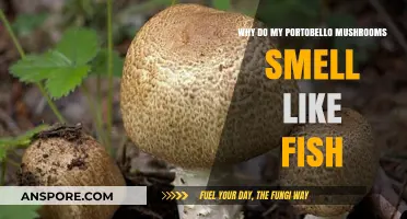 Why Portobello Mushrooms Emit a Fishy Odor: Causes and Solutions