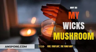 Mushrooming Wicks: Why Does It Happen?