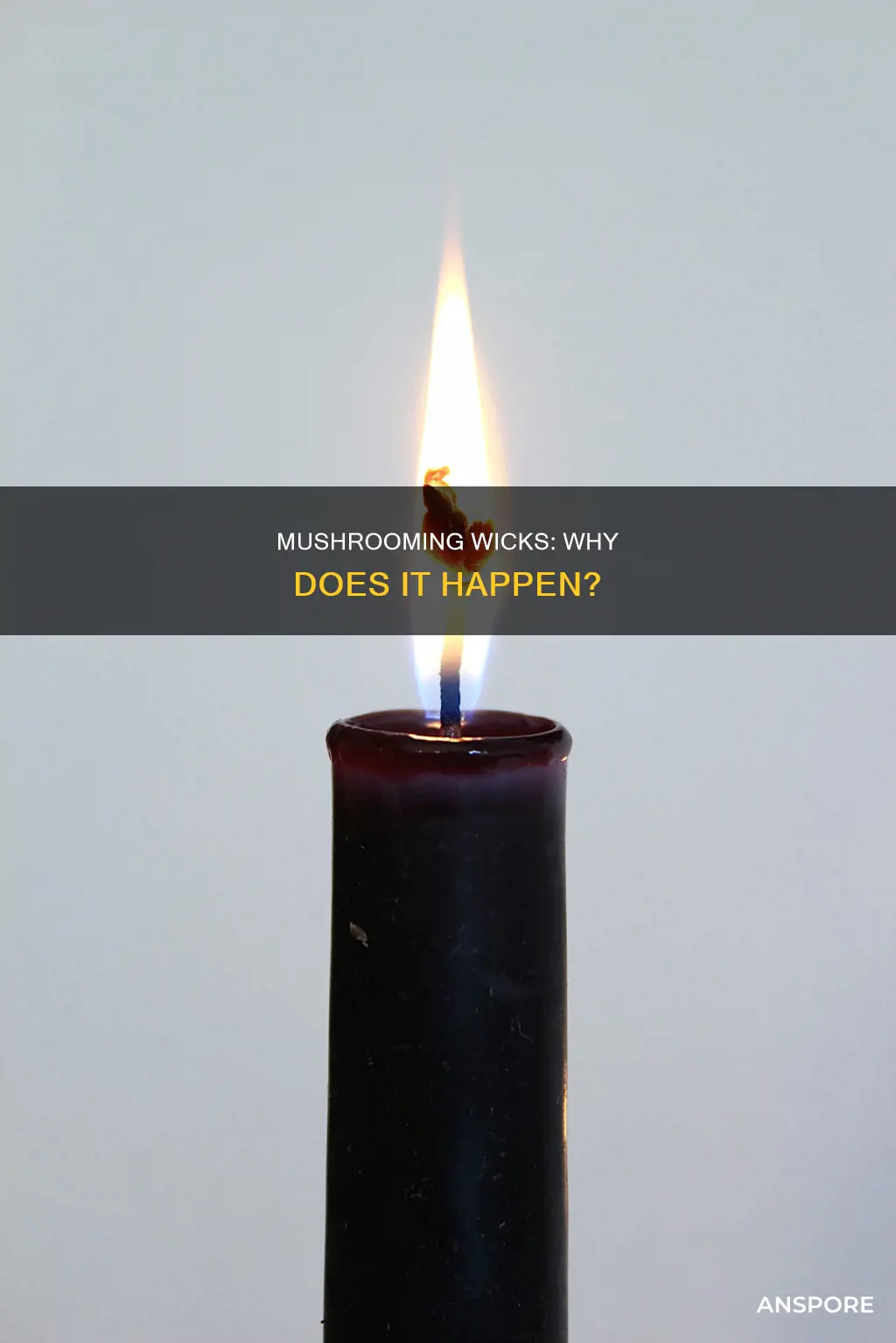 why do my wicks mushroom