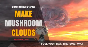 Explained: The Science Behind Mushroom Clouds from Nuclear Weapons