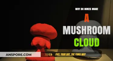 Why Nukes Create Mushroom Clouds: The Science Behind the Iconic Blast