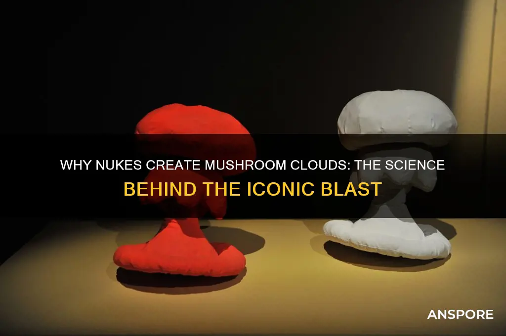 why do nukes make a mushroom cloud