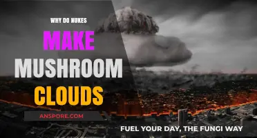 Explained: The Science Behind Mushroom Clouds from Nuclear Explosions