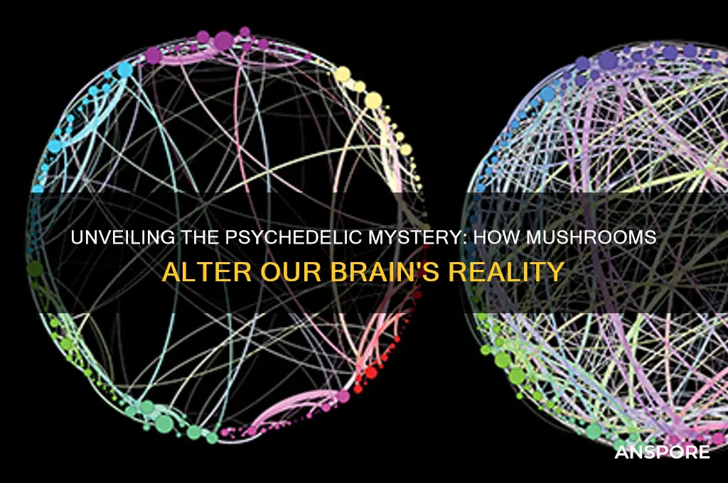 why do our brains trip we eat mushroom