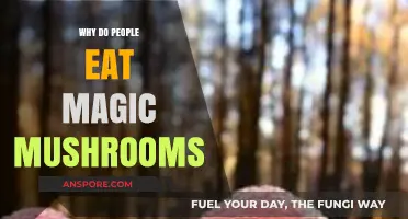Exploring the Intriguing Reasons People Consume Magic Mushrooms