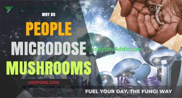 Microdosing Mushrooms: Enhancing Performance and Wellbeing