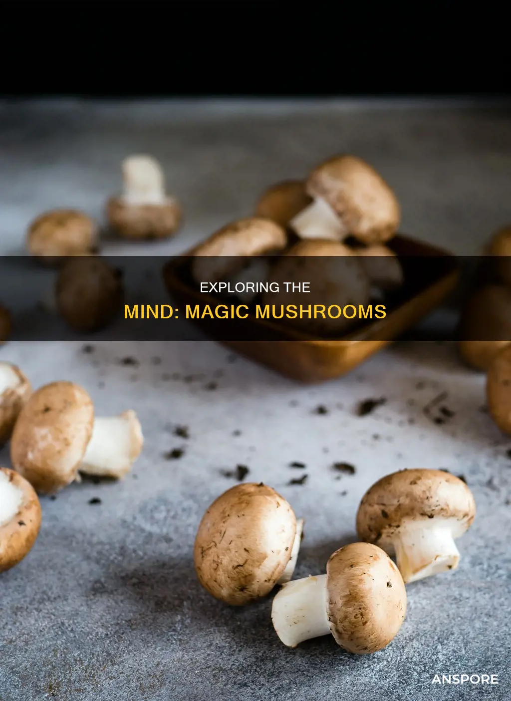 why do people take mushrooms