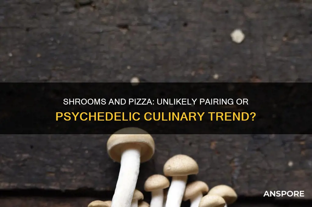why do people take shrooms with pizza