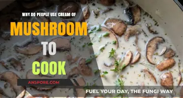 Cream of Mushroom Magic: Unveiling Its Culinary Appeal and Versatility