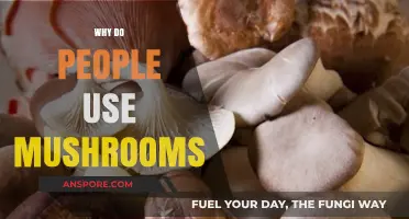 Exploring the Fascinating Reasons People Use Mushrooms in Daily Life