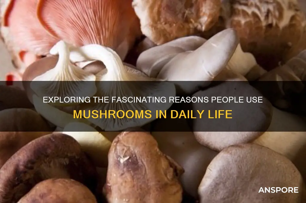 why do people use mushrooms