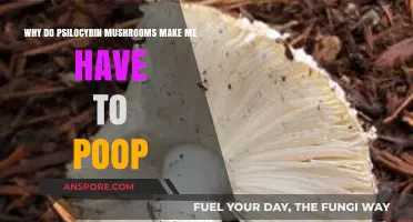 Psilocybin Mushrooms and Pooping: Understanding the Gut-Brain Connection