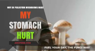 Psilocybin Mushrooms and Stomach Pain: Understanding the Uncomfortable Truth