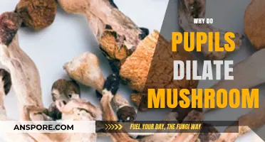 Magic Mushroom Effects: Pupil Dilation Explained