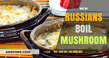 The Russian Art of Boiling Mushrooms: A Culinary Tradition