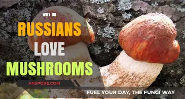 Mushroom Hunting: Russia's Foraging Obsession
