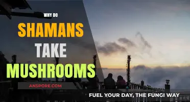 Shamans and Mushrooms: A Spiritual Journey