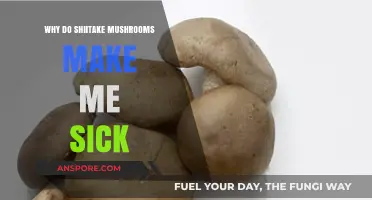 Shiitake Sensitivity: Understanding Why These Mushrooms Upset Your Stomach