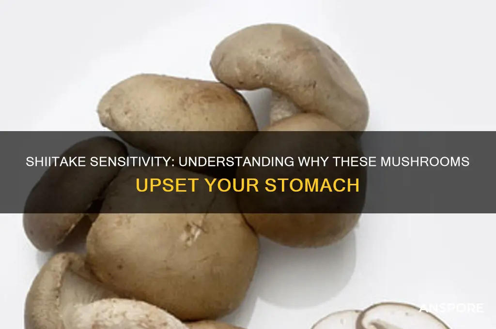 why do shiitake mushrooms make me sick