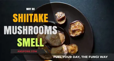 Shiitake Mushrooms: Why the Distinctive Aroma?