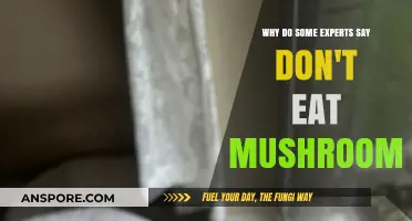 Mushroom Myths: Uncovering Experts' Warnings Against Eating Fungi