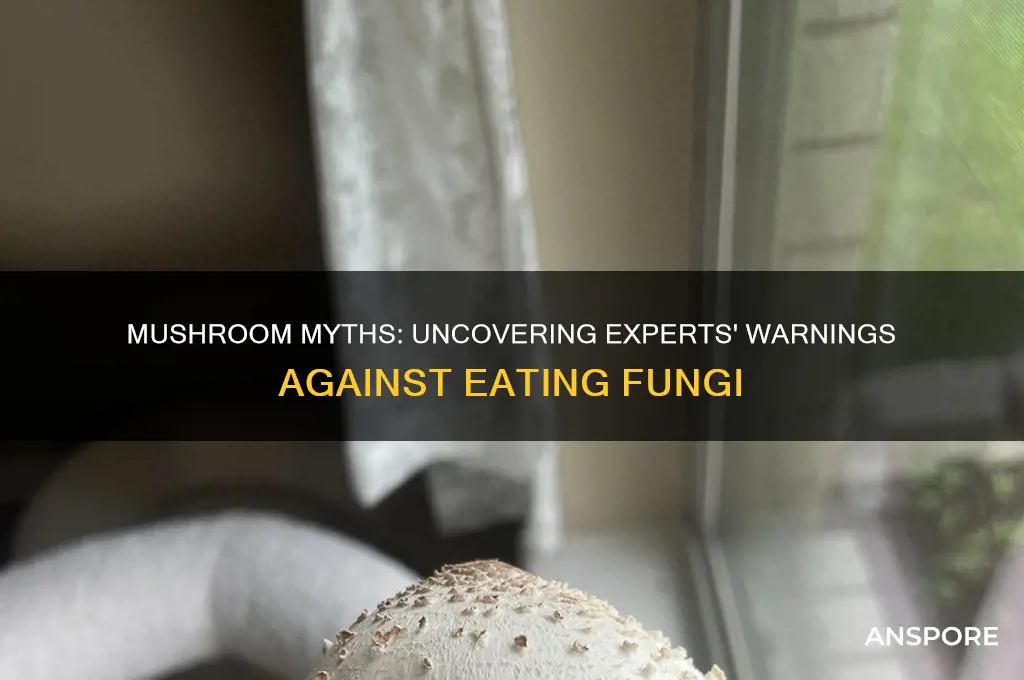 why do some experts say don