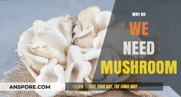 Mushrooms: Superfood, Medicine, and Environmental Savior