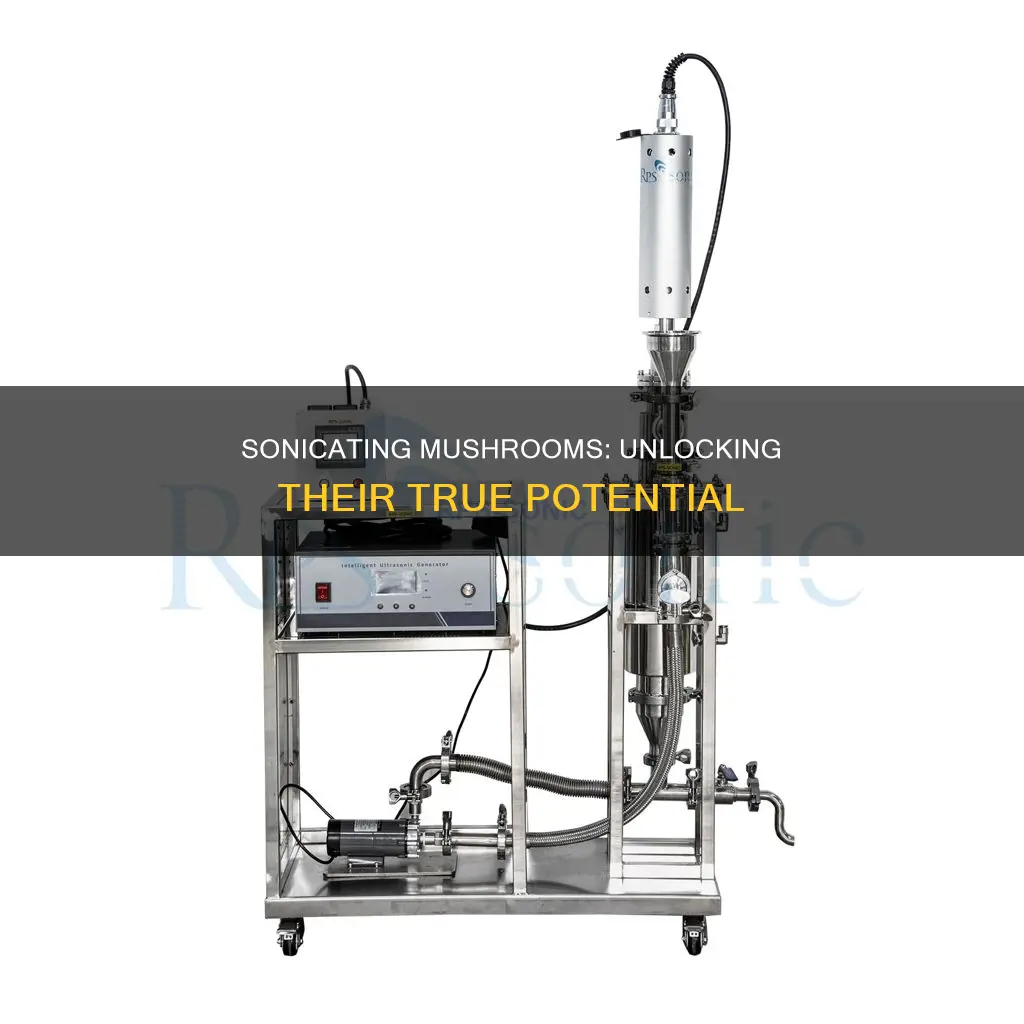 why do we sonicate mushrooms