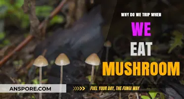 Why Psilocybin Mushrooms Cause Trips: Exploring the Science Behind Hallucinations