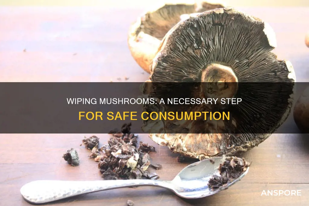 why do we wipe mushrooms
